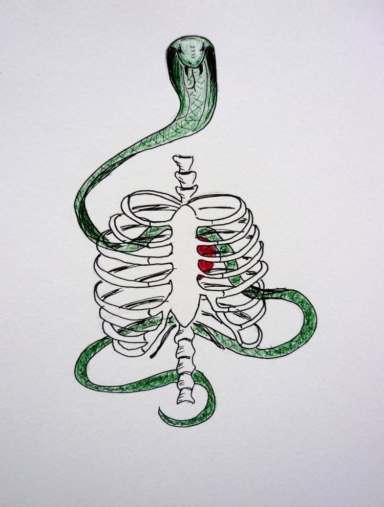 snake in a ribcage