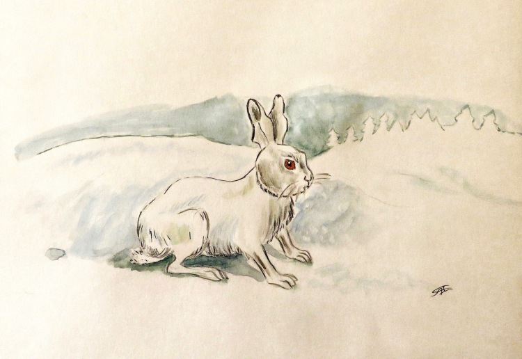 Easter hare Kopie